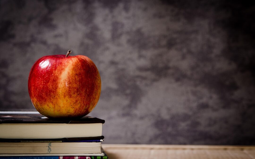 Stories From the Classroom: Mrs. Taylor